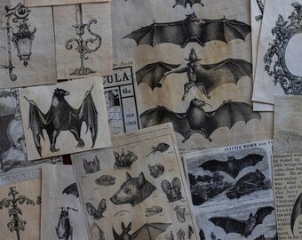 Vampire Poet Junk Journal Kit: Gothic Ephemera for Art Journaling