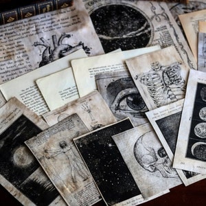 DARK ACADEMIA | Kit de Diário Junk - Kit de Diário para Iniciantes em Diário - Kit de Objetos Efêmeros para Diário de Arte, academia, vintage, gótico