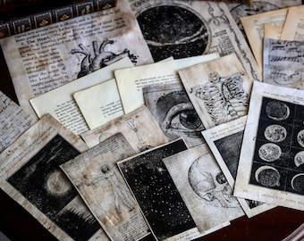 Dark Academia Junk Journal Kit: Vintage Ephemera for Beginners