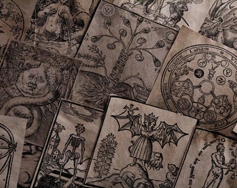Puede incluir: Una colección de ilustraciones vintage en blanco y negro impresas en papel. Las ilustraciones representan varias criaturas míticas, símbolos y plantas. El papel tiene un aspecto texturizado y envejecido.
