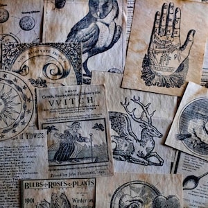 THE VVITCH / Kit de diario basura, libro de recortes de grimorios de brujas del bosque, efímeras, grimorio, libro de hechizos, wicca, pagano, brujería, collage