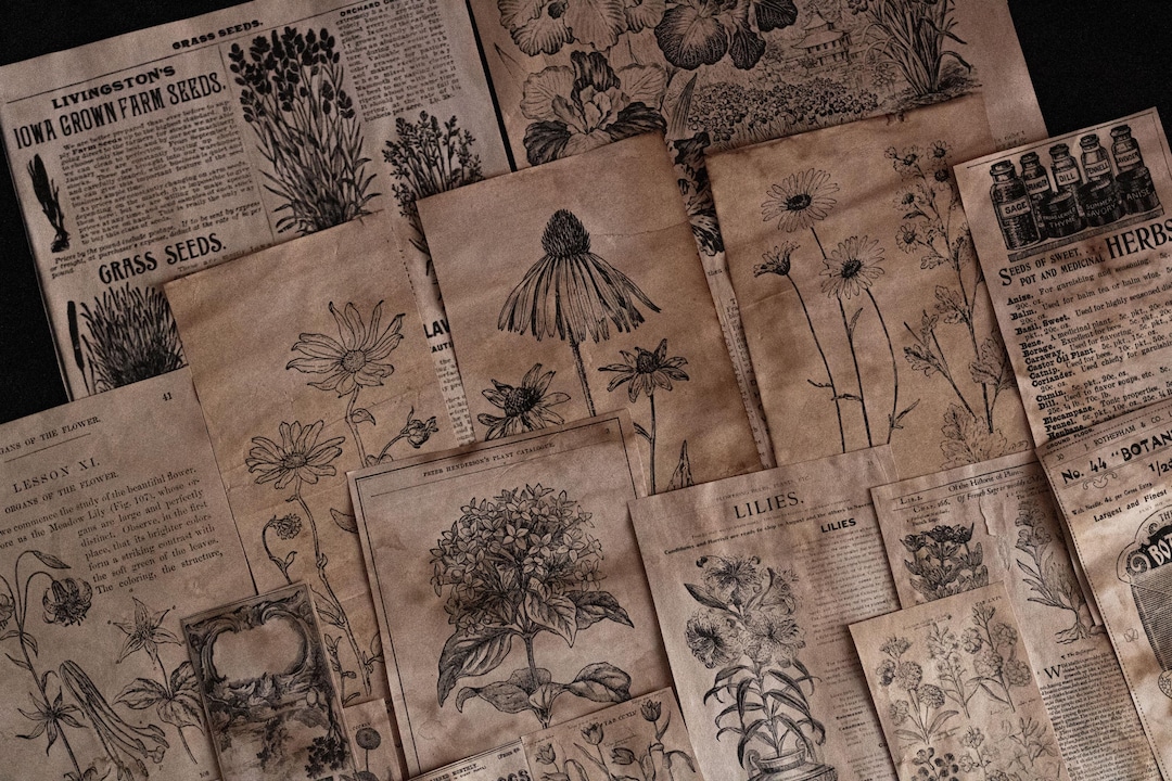 Botanology Junk Journal Kit: Spring Ephemera, Grimoire Scrapbook - Etsy