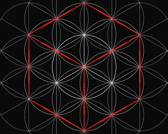 Platonic Solids Digital Download Collection