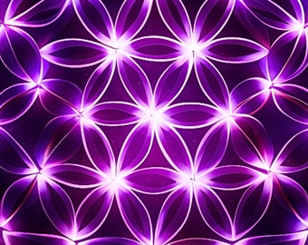 3.0 Flower of Life Digital Download Collection