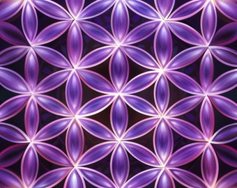 2.0 Flower of Life Digital Download Collection
