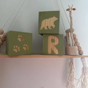 May include: A wooden shelf displaying three green blocks and a wooden giraffe. The blocks feature paw prints, a bear, and the letter "R". The giraffe is constructed from wooden beads and has a long neck.