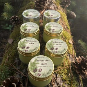 May include: Six small, green-colored tins of white pine salve are arranged on a mossy log. Each tin has a silver lid with a label featuring pine needles and cones, and the text "White pine salve".