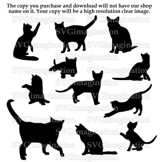 Download Free Svg File Cats Svg Instant Download Cricut Silhouette Etsy SVG DXF Cut File