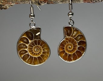 Ammonite Fossil Slice Earrings, Ammonite Slice Crystal Earrings