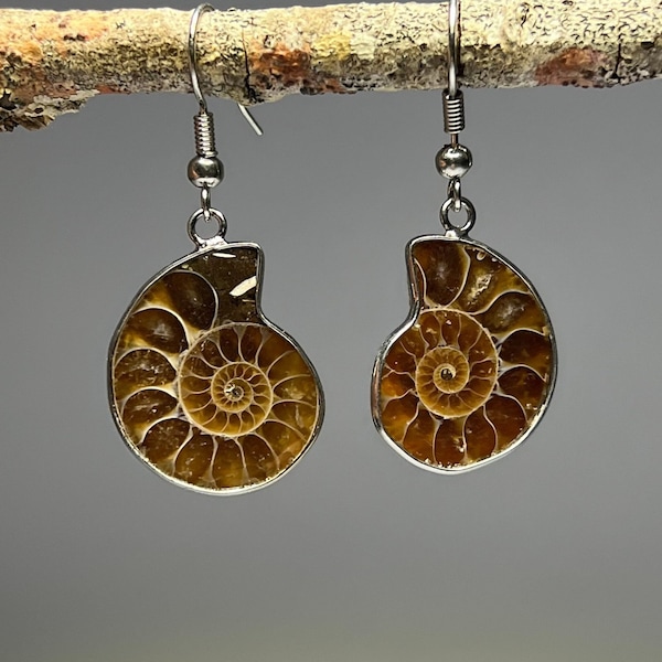 Ammonite Fossil Slice Earrings, Ammonite Slice Crystal Earrings