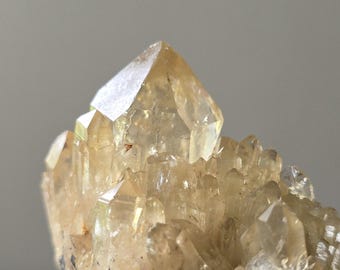 Congo Citrine Crystal Cluster