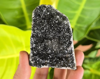 Black Amethyst Cluster with Cut Base