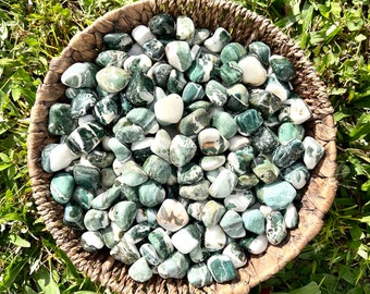 Natural Green Sardonyx Tumbled Stones 20/30mm - Also known as Indian Turquoise