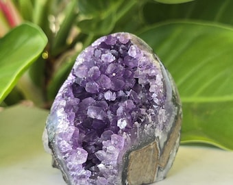 Natural Amethyst Crystal Cluster