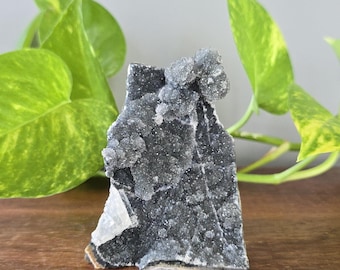 Black Amethyst Cluster with Cut Base