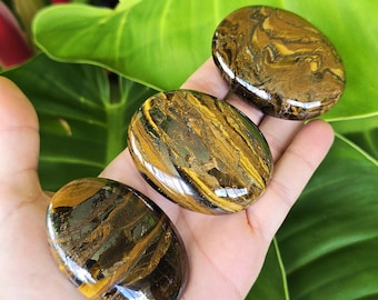 Tiger Iron Palm Stone