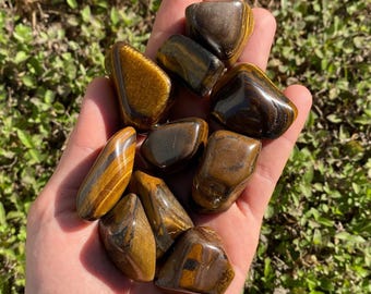Tigers Eye Tumbled Stones - Large
