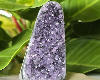 Natural Amethyst Crystal Cluster