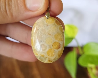 Coral Pendant Necklace | Fossil Coral Pendant with 18" Chain