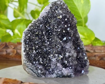 Black Amethyst Cluster with Cut Base
