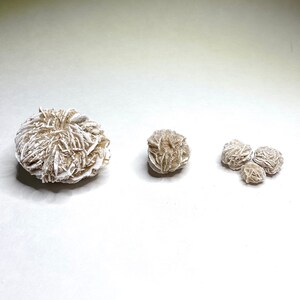 Four desert rose formations in various sizes. The largest formation is a light brown color with white edges. The other three formations are smaller and are a light tan color with white edges.