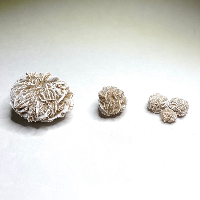 Four desert rose formations in various sizes. The largest formation is a light brown color with white edges. The other three formations are smaller and are a light tan color with white edges.