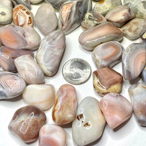 A collection of smooth, polished agate stones in various shades of pink, white, and brown. The stones are arranged in a circle on a white surface. A US quarter is included for scale.