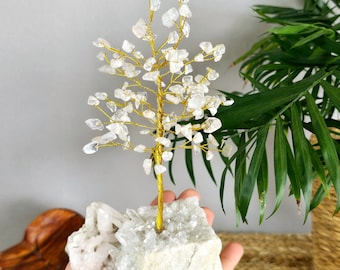 Clear Quartz Crystal Tree: Himalayan Quartz Cluster Base