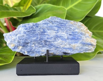 Large Blue Kyanite Specimen from Brazil with Display Stand