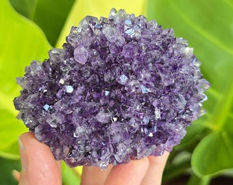 Amethyst Rosette Flower Formation