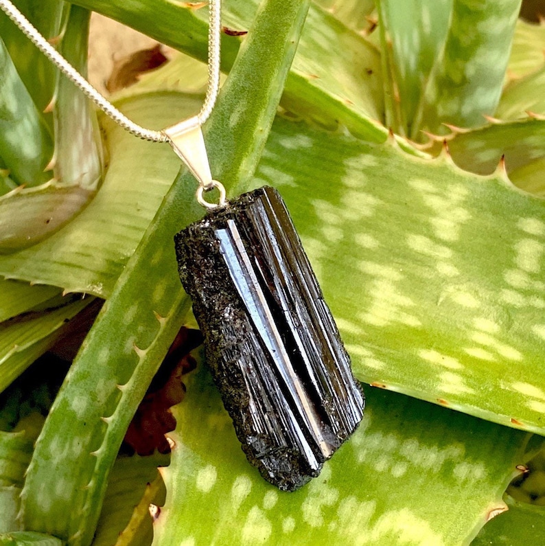 Puede incluir: Un colgante de turmalina negra en una cadena de plata. El colgante es un cristal en bruto sin pulir con una superficie estriada. El cristal se coloca sobre un fondo de hojas verdes de aloe vera.