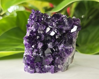 Raw Uruguayan Amethyst - Deep Grape Jelly AAA Grade 8.8oz with Cut Base
