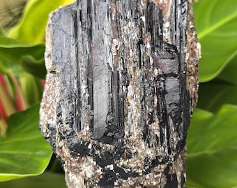 Large Black Tourmaline in Matrix with Quartz & Mica – Massive 6.10 lbs Specimen on Cut Base