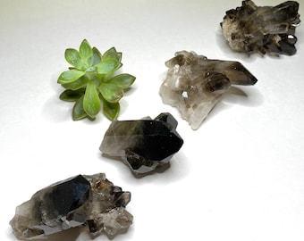 Smoky Quartz Crystal Cluster