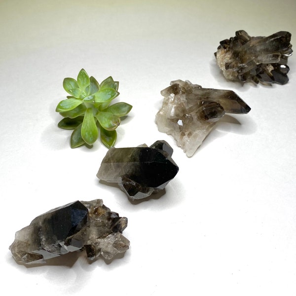 Smoky Quartz Crystal Cluster