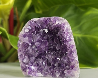 Natural Amethyst Crystal Cluster - Geode with Polished Edges