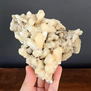 May include: A cluster of pale cream-colored, translucent mineral crystals with a glossy finish, growing from a rough, textured, light brown rocky matrix. The crystalline structure features numerous sharp, elongated points and facets.