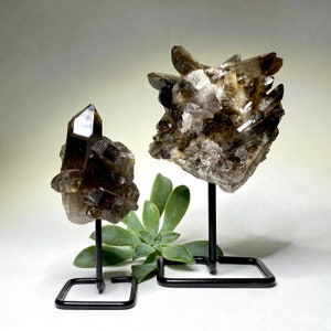 Smoky Quartz Crystal Cluster on Stand