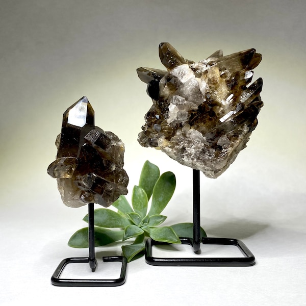 Smoky Quartz Crystal Cluster on Stand