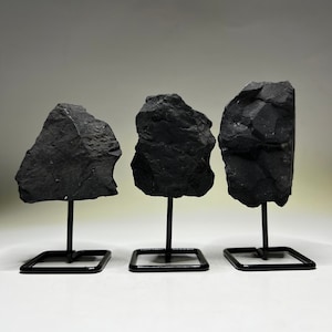 Pietra di shungite grezza su supporto