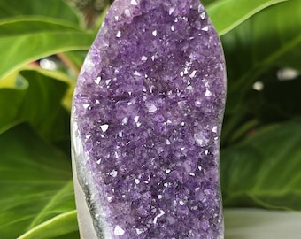 Natural Amethyst Crystal Cluster