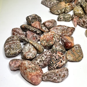 Leopardskin Jasper Tumbled Stones