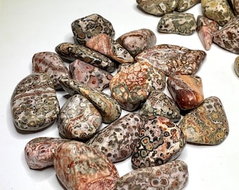 Leopardskin Jasper Tumbled Stones
