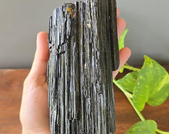 Black Tourmaline - Large Mineral Specimen - 2 to 2.5 lbs