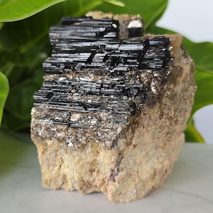 Gran turmalina negra en matriz con cuarzo y mica – Ejemplar de 1,42 kg (3,13 libras) sobre base tallada.