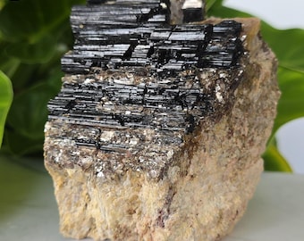 Large Black Tourmaline in Matrix with Quartz & Mica – 3.13 lbs Specimen on Cut Base