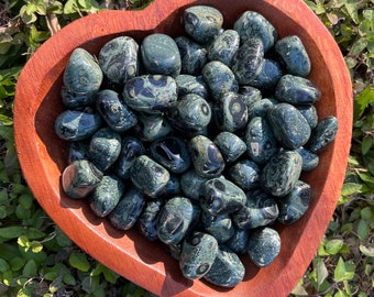 Natural Kambaba Jasper Tumbled Stones - 20-30mm - Crocodile Jasper Tumbled Crystals