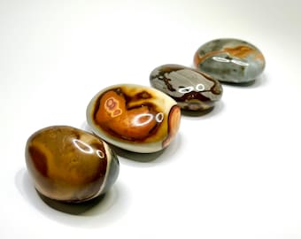 Desert Jasper Palm Stone