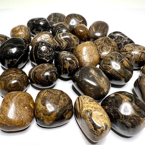 Stromatolite Tumbled Stones