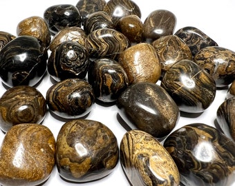 Stromatolite Tumbled Stones